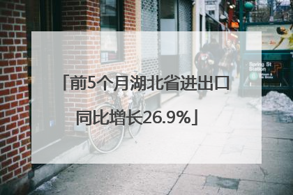 前5个月湖北省进出口同比增长26.9%