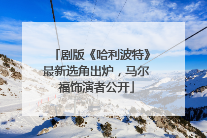 剧版《哈利波特》最新选角出炉，马尔福饰演者公开