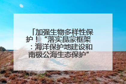 加强生物多样性保护！“落实昆蒙框架：海洋保护地建设和南极公海生态保护”主题论坛将举办