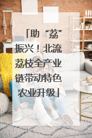 助“荔”振兴！北流荔枝全产业链带动特色农业升级