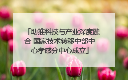 助推科技与产业深度融合 国家技术转移中部中心孝感分中心成立