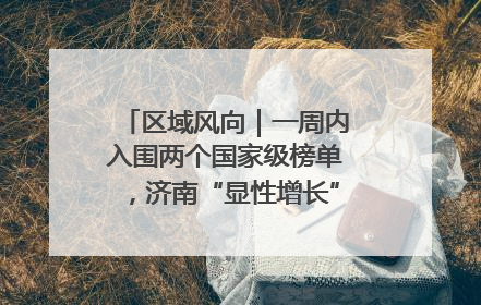 区域风向｜一周内入围两个国家级榜单，济南“显性增长”刷新城市影响力
