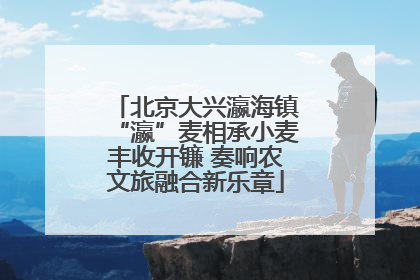 北京大兴瀛海镇“瀛”麦相承小麦丰收开镰 奏响农文旅融合新乐章