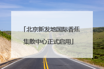北京新发地国际香蕉集散中心正式启用