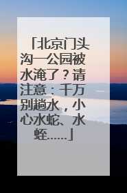 北京门头沟一公园被水淹了？请注意：千万别趟水，小心水蛇、水蛭……
