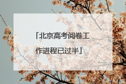 北京高考阅卷工作进程已过半