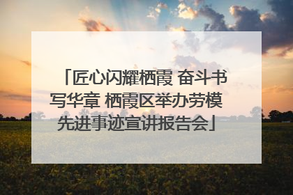 匠心闪耀栖霞 奋斗书写华章 栖霞区举办劳模先进事迹宣讲报告会