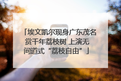 埃文凯尔现身广东茂名 赏千年荔枝树 上演无间道式“荔枝自由”