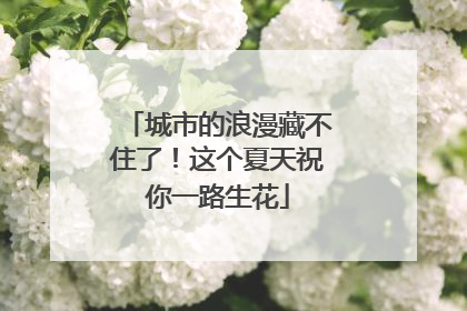 城市的浪漫藏不住了！这个夏天祝你一路生花