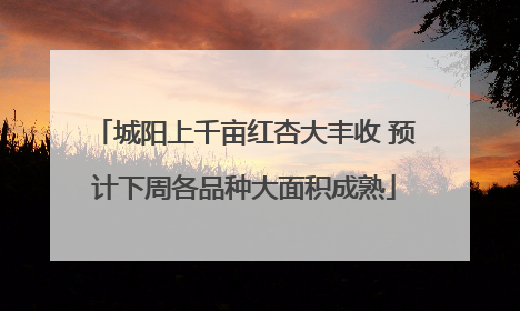 城阳上千亩红杏大丰收 预计下周各品种大面积成熟
