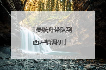 吴毓舟带队到西坪镇调研
