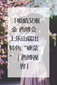 吸睛又吸金 西博会上乐山端出特色“硬菜”｜西博视界
