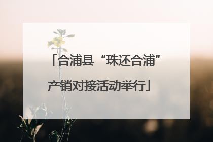 合浦县“珠还合浦”产销对接活动举行