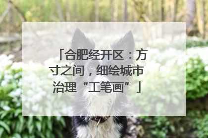 合肥经开区：方寸之间，细绘城市治理“工笔画”