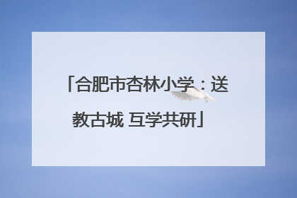 合肥市杏林小学：送教古城 互学共研