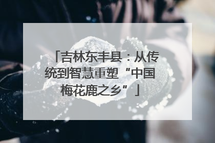 吉林东丰县：从传统到智慧重塑“中国梅花鹿之乡”