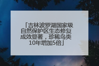 吉林波罗湖国家级自然保护区生态修复成效显著，珍稀鸟类10年增加5倍