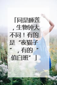 同是睡莲，生物钟大不同！有的是“夜猫子”，有的“值白班”