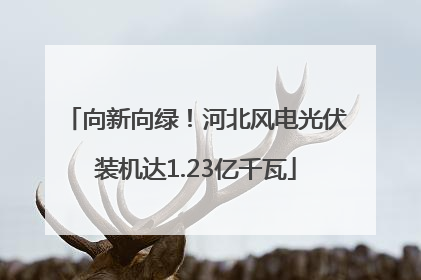 向新向绿！河北风电光伏装机达1.23亿千瓦