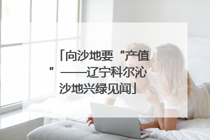 向沙地要“产值”——辽宁科尔沁沙地兴绿见闻