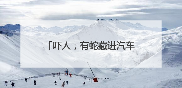 吓人，有蛇藏进汽车引擎盖！北京9天接9起“蛇警”……