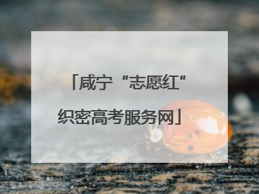 咸宁“志愿红”织密高考服务网