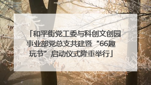 和平街党工委与科创文创园事业部党总支共建暨“66趣玩节”启动仪式隆重举行