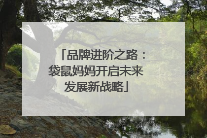 品牌进阶之路：袋鼠妈妈开启未来发展新战略