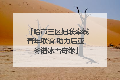 哈市三区妇联牵线青年联谊 助力后亚冬谱冰雪奇缘