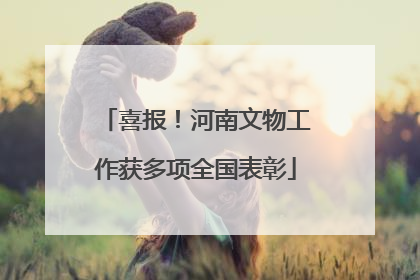 喜报！河南文物工作获多项全国表彰