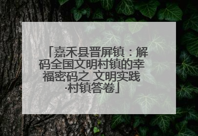 嘉禾县晋屏镇：解码全国文明村镇的幸福密码之 文明实践·村镇答卷