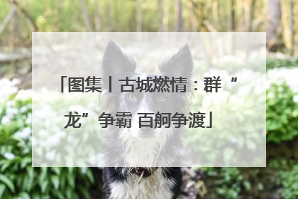 图集丨古城燃情：群“龙”争霸 百舸争渡