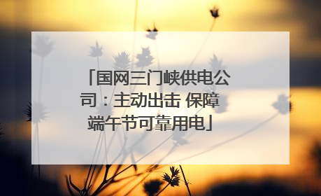 国网三门峡供电公司：主动出击 保障端午节可靠用电