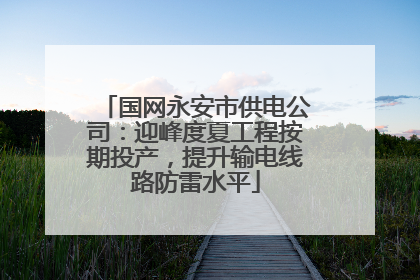 国网永安市供电公司：迎峰度夏工程按期投产，提升输电线路防雷水平