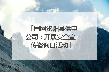国网泌阳县供电公司：开展安全宣传咨询日活动