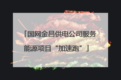 国网金昌供电公司服务能源项目“加速跑”