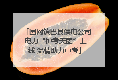 国网镇巴县供电公司 电力“护考天团”上线 温情助力中考