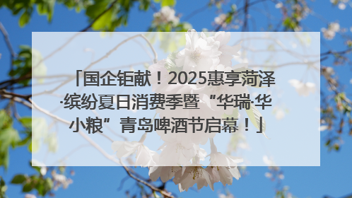 国企钜献！2025惠享菏泽·缤纷夏日消费季暨“华瑞·华小粮”青岛啤酒节启幕！