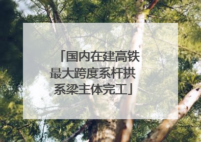 国内在建高铁最大跨度系杆拱系梁主体完工