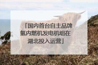 国内首台自主品牌氢内燃机发电机组在湖北投入运营