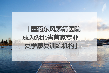 国药东风茅箭医院成为湖北省首家专业复学康复训练机构