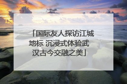 国际友人探访江城地标 沉浸式体验武汉古今交融之美