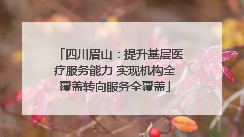 四川眉山：提升基层医疗服务能力 实现机构全覆盖转向服务全覆盖