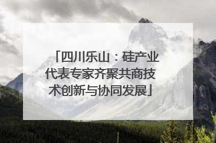 四川乐山：硅产业代表专家齐聚共商技术创新与协同发展