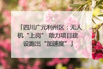 四川广元利州区：无人机“上岗” 助力项目建设跑出“加速度”