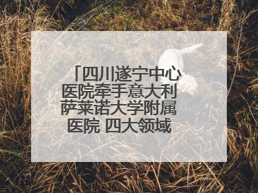四川遂宁中心医院牵手意大利萨莱诺大学附属医院 四大领域开展全面合作