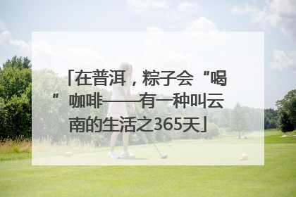 在普洱，粽子会“喝”咖啡——有一种叫云南的生活之365天