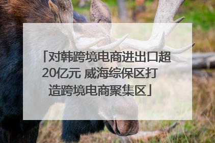 对韩跨境电商进出口超20亿元 威海综保区打造跨境电商聚集区
