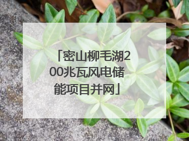 密山柳毛湖200兆瓦风电储能项目并网