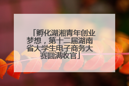 孵化湖湘青年创业梦想，第十二届湖南省大学生电子商务大赛圆满收官